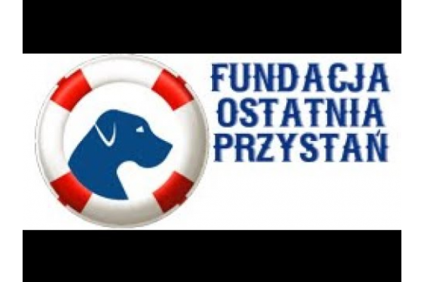 Fundacja ostatnia przystań - dla psich seniorów